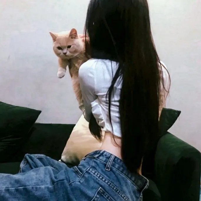 麻烦大了