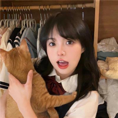 金甲风暴